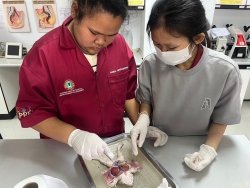 20250201174209.jpg - โครงการจัดการเรียนรู้สาขาเตรียมวิศวกรรมศาสตร์  | https://tor4.ac.th/